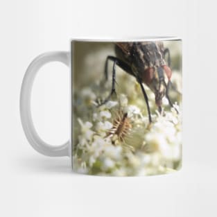 Fly With Auburn Eyes Mug